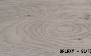 gl1004