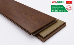 wilson-810-1507574635
