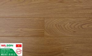 ws-817122-1345-1504991109