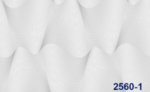 2560-1