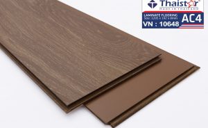 vn-10648