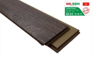 ws815