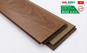 ws816