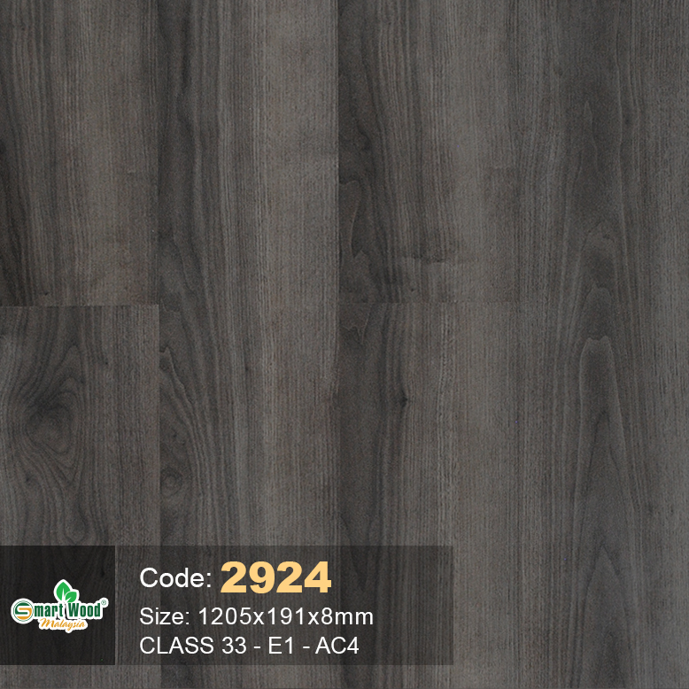 2924-1 2924-1